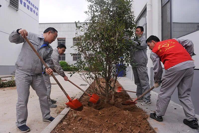 植樹節  共繪“人與自然和諧共生”新畫卷